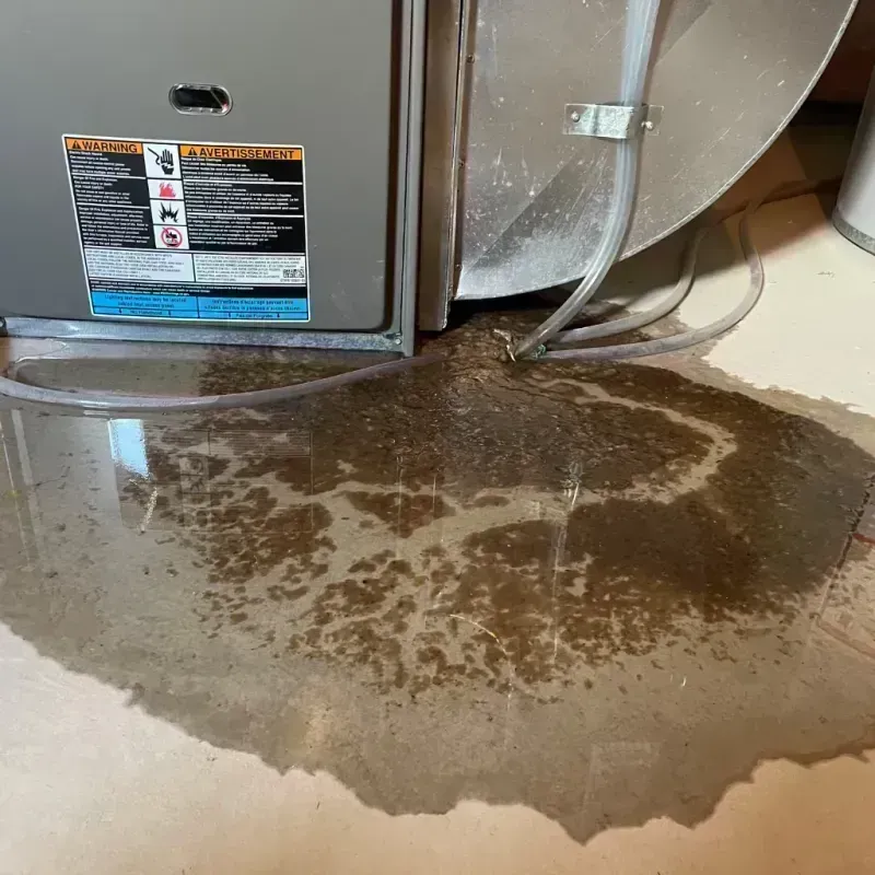 Appliance Leak Cleanup in Castle Rock, CO